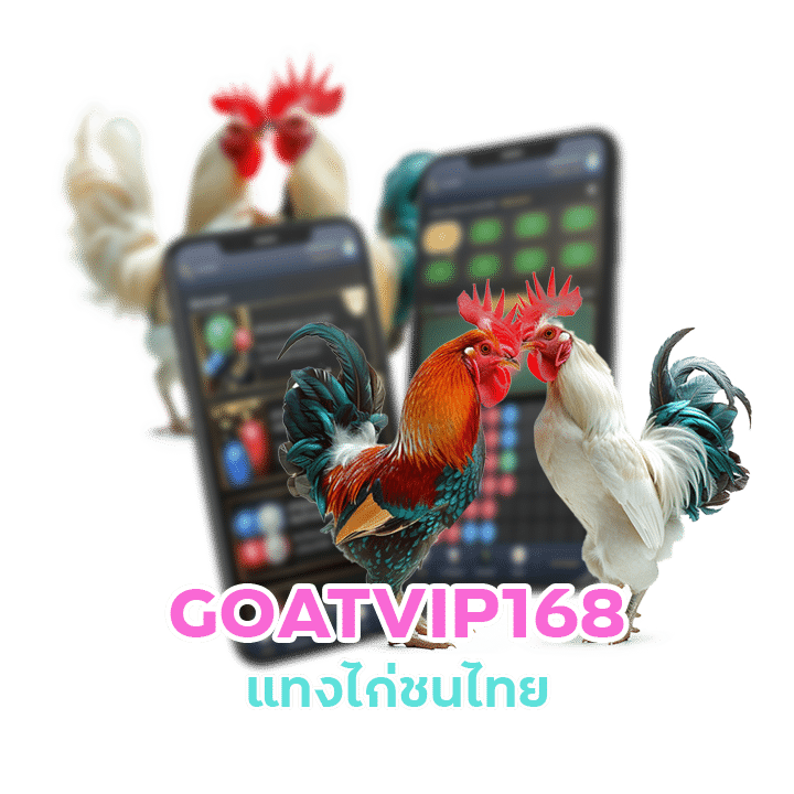 GOATVIP168 เล่นไก่ชนออนไลน์